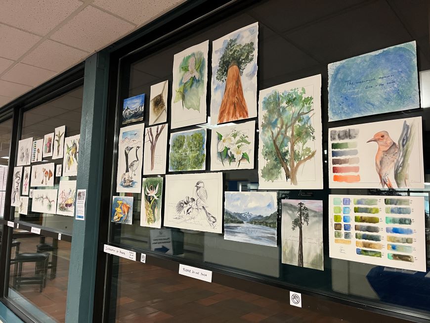 Watercolour paintings of birds, trees, flowers pasted on a large window. 