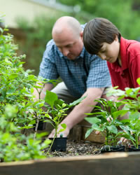 Adult and child gardening