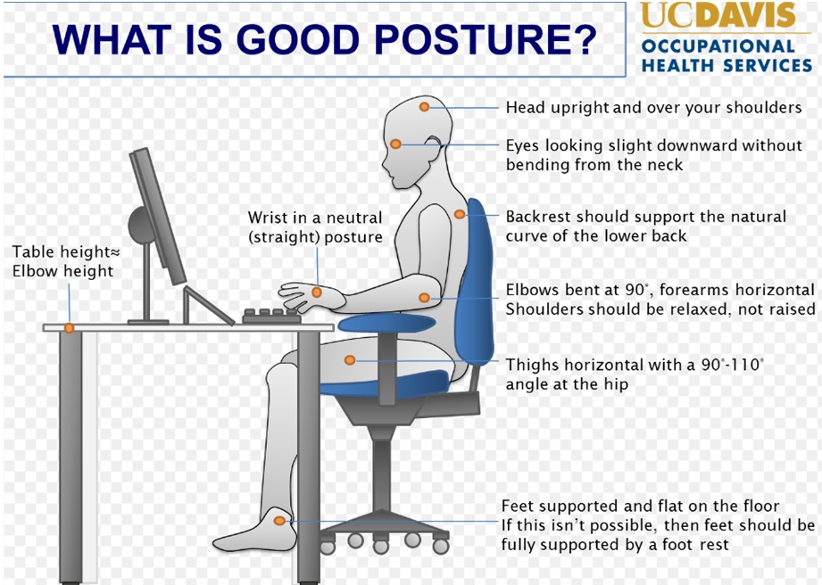 Good posture illustration