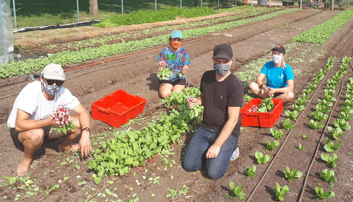 Planting at Loutet Farm