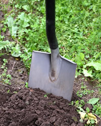 shovel in the dirt