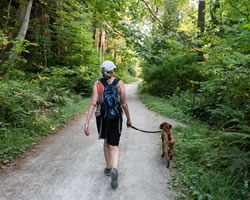 Walking the dog