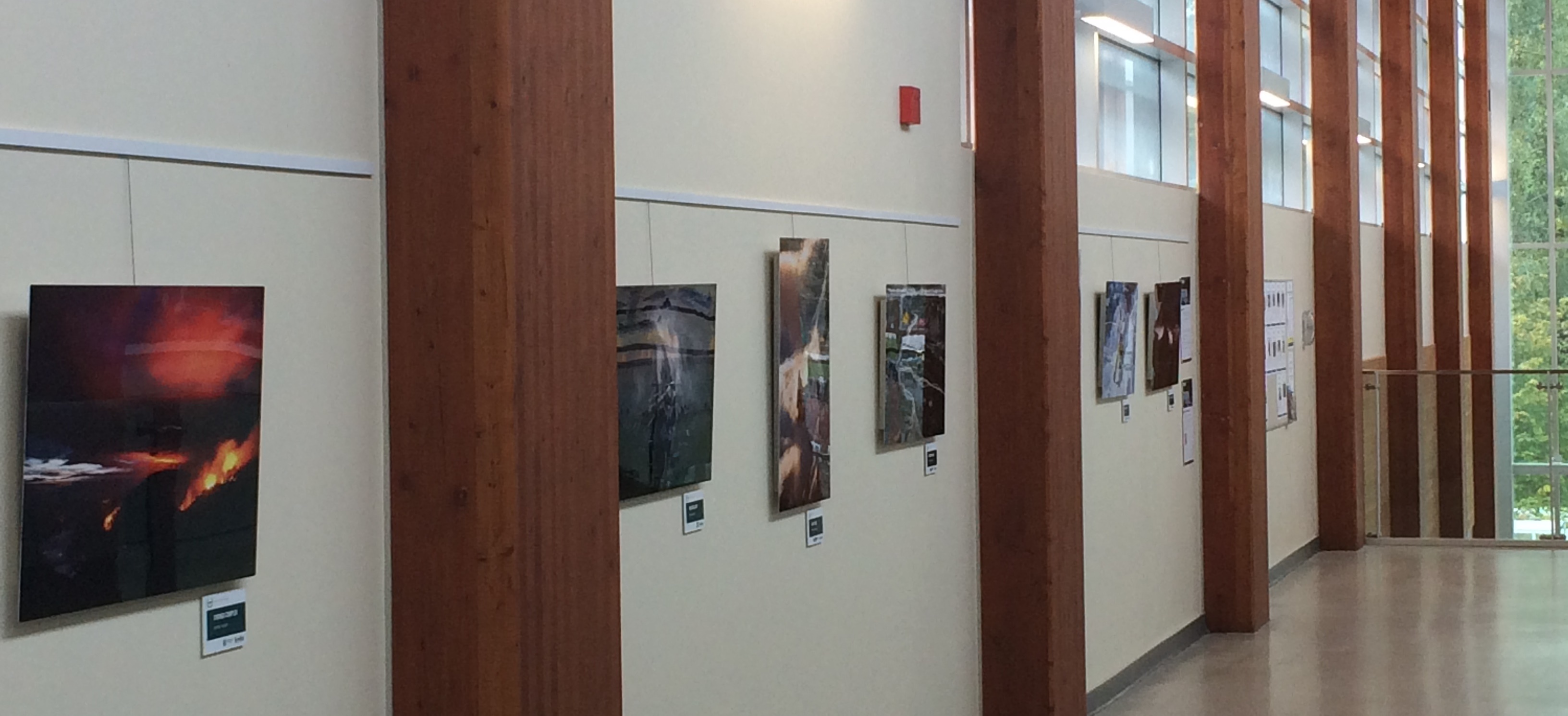 Gallery display at Delbrook Community Recreation Centre