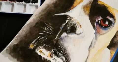 Watercolour painting of a dog by Crystal Rassi