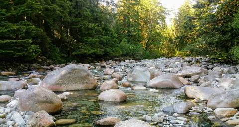 North Vancouver creek