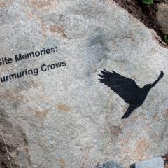 Murmuring Crows