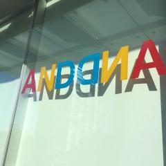 Vinyl Lettering Project on Window