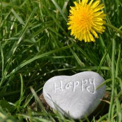 Happy rock
