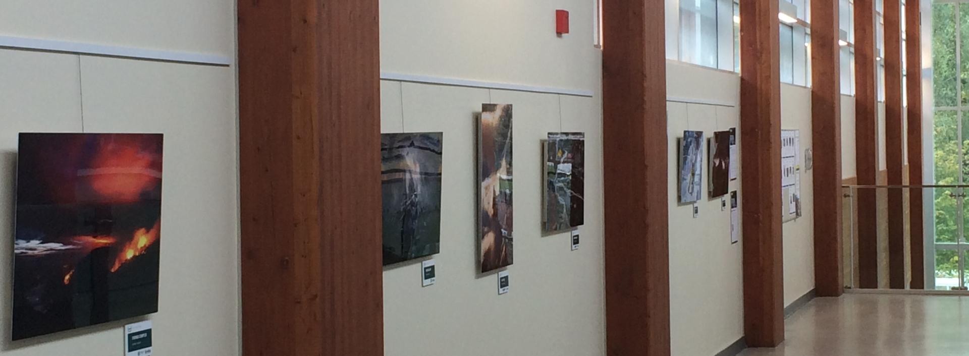 Gallery display at Delbrook Community Recreation Centre