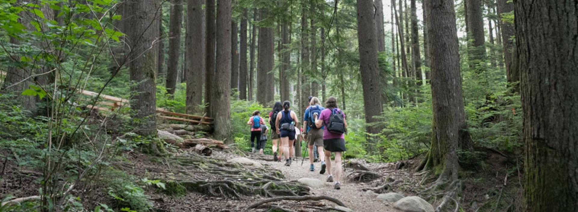 Hiking in the forest