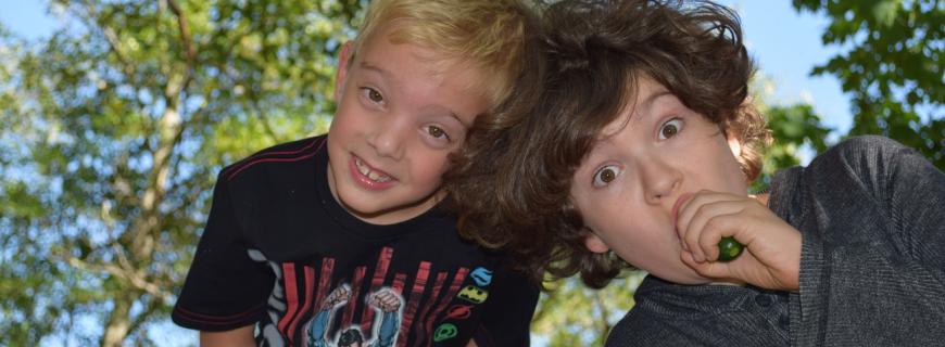 Boys in tree