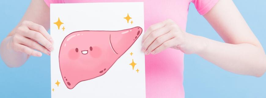 Liver