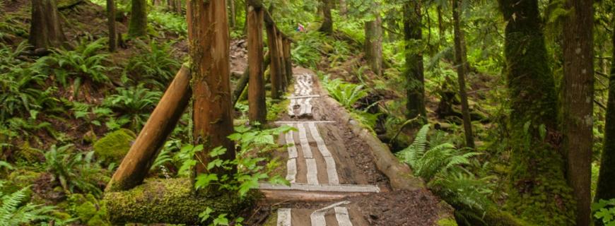 Trail