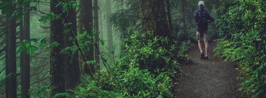 man in forest