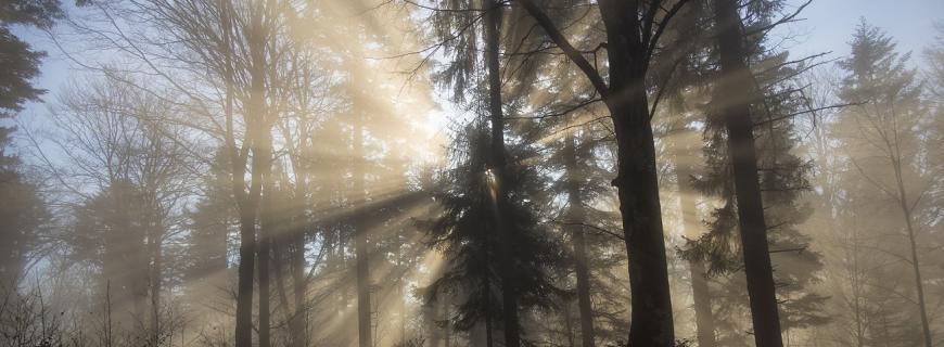 sun