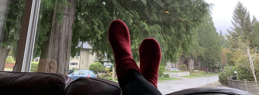 Feet in window