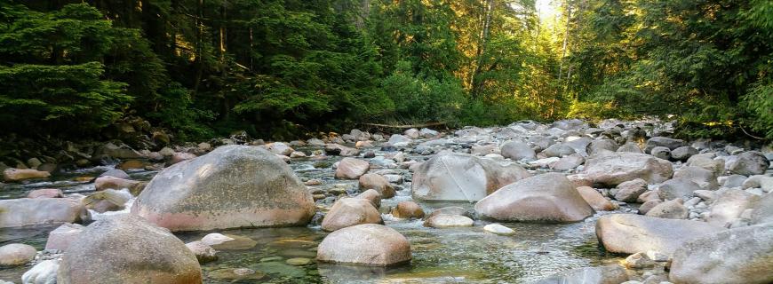 North Vancouver creek
