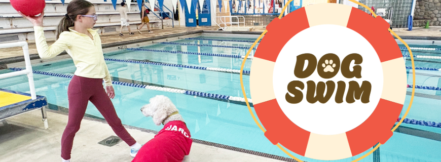 A dog in a lifeguard shirt patrols the pool deck while a girl throws a ball. 