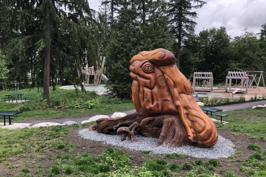 Queensbury Tree Frog | North Vancouver Recreation and