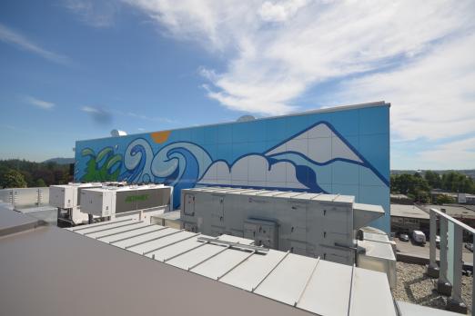 Mural, North Vancouver, Lynn Creek, Carson Ting