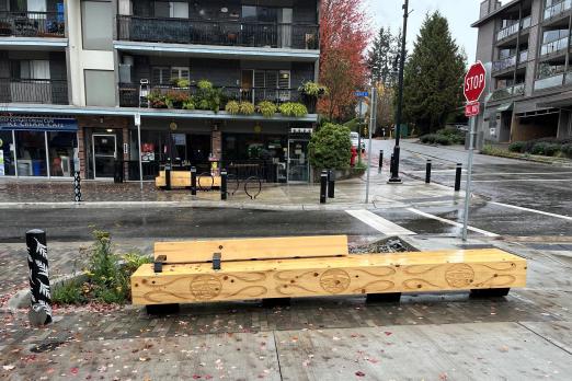 Indigenous, Coast Salish, Public Art, Deep Cove