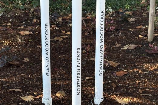 Names of birds that correspond with birdhouses