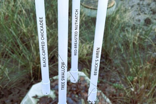 Types of birds corresponding to birdhouse