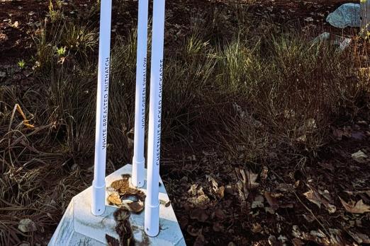 Birdhouse poles with names of bird types