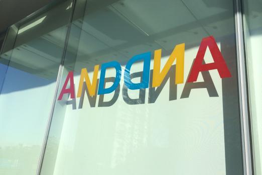 Vinyl Lettering Project on Window