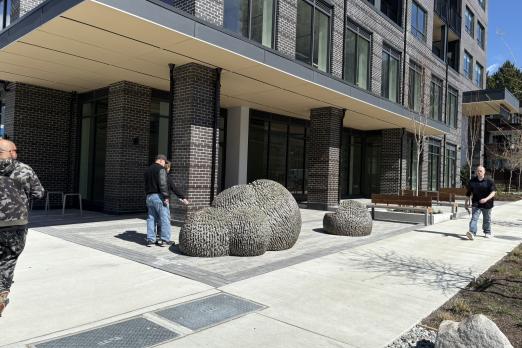 Lions Mane Sculptures