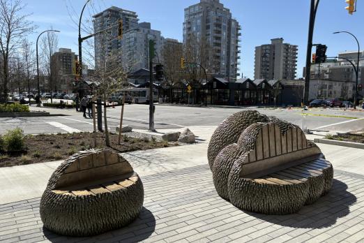 Lions Mane Mushroom Public Art