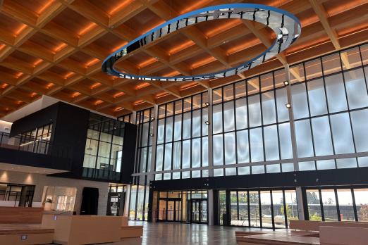 Suspended Sculpture