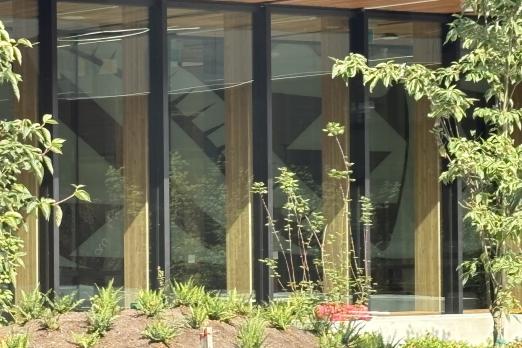 Coast Salish Thunderbird on Glass 