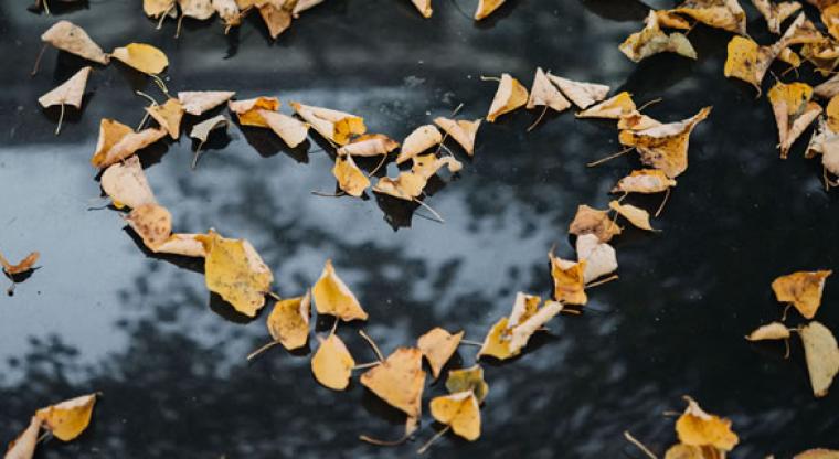 heart made from leaves