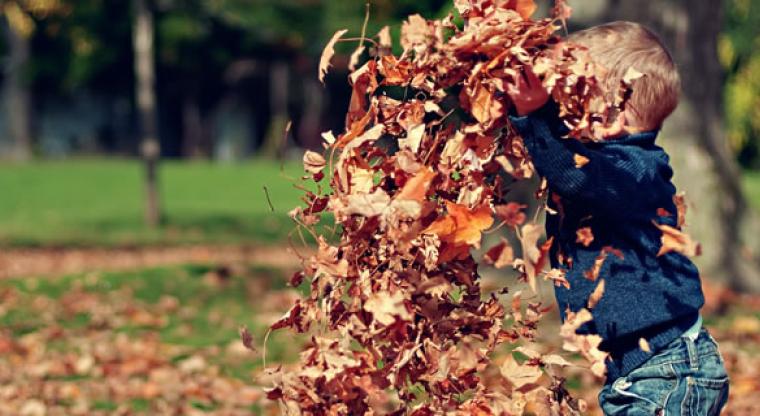 Young child playing in fallen leaves