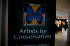 Banner with blue butterfly for "Artists for Conservation"