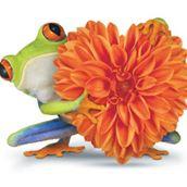 Frog standing behind a heart-shaped flower