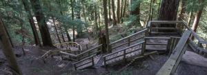 Capilano