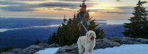 Dog Mountain