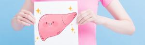 Liver
