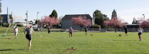 outdoor fitness at Norseman Field