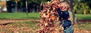Young child playing in fallen leaves