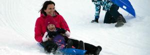 Family tobogganing