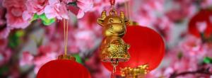 Year of the ox